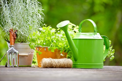 The image depicts a neatly arranged outdoor garden space with a weathered wooden surface in the foreground. On the surface, there is a collection of gardening tools and supplies, including a silver hand rake, a brown terracotta pot filled with vibrant green leafy plants, and a bright green plastic watering can positioned to the right. Additionally, a coil of twine rests near the watering can, suggesting ongoing garden maintenance. The background features a lush, blurred green backdrop, indicating a well-established garden area with natural foliage. The scene captures the essence of outdoor gardening, highlighting tools and plant containers that are typical in residential gardens around Fitzrovia, London. The natural lighting suggests a sunny day, ideal for garden care activities, and the overall scene emphasizes the importance of organized gardening tools and healthy plant growth in maintaining an attractive outdoor space. These elements align with the expert gardening and landscaping services offered by Garden Maintenance Fitzrovia, supporting their local expertise in garden upkeep and outdoor beautification.